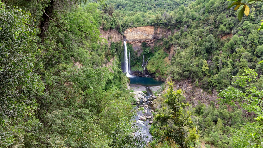 05 - Radal Siete Tazas NP (1).jpg